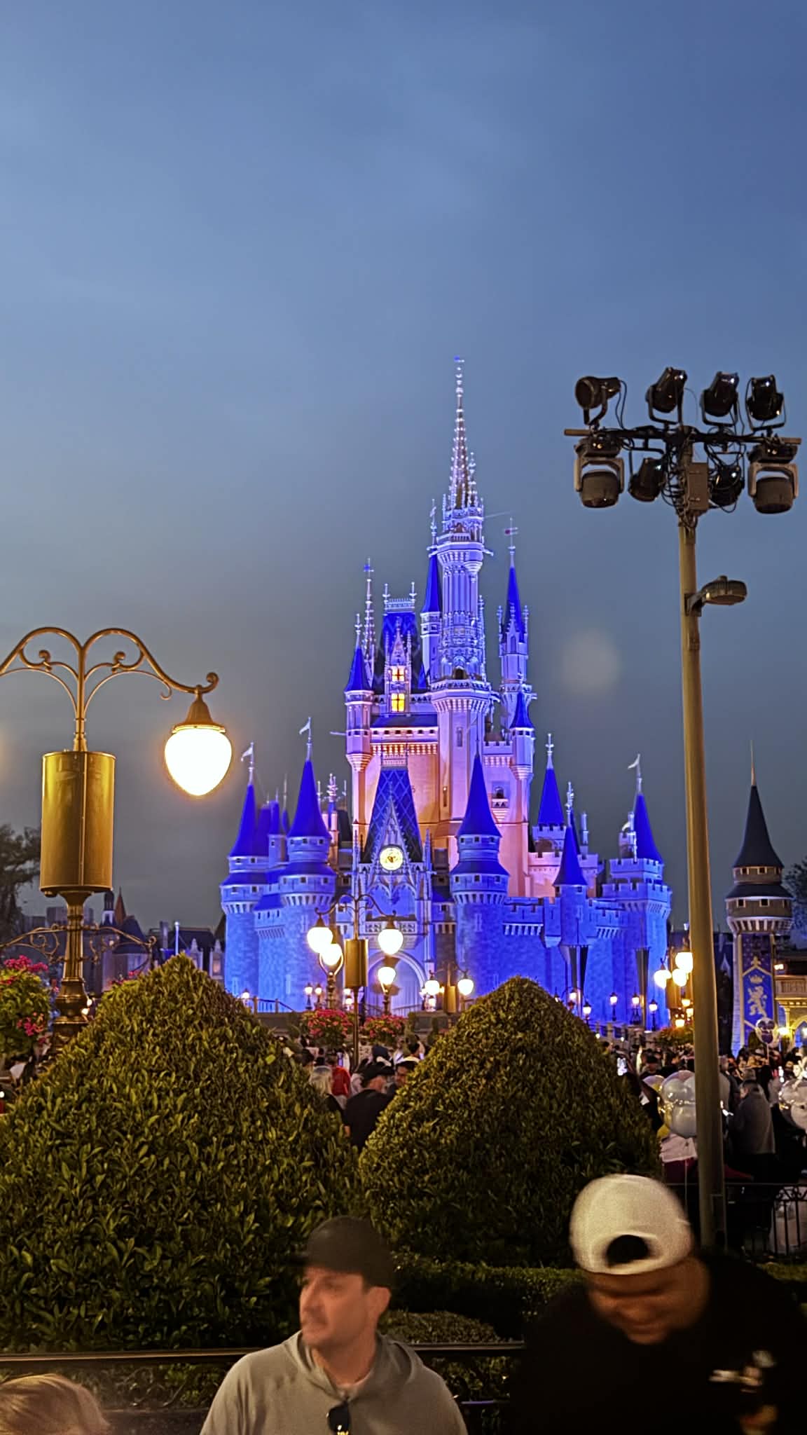 Cinderella Castle glowing blue at twilight