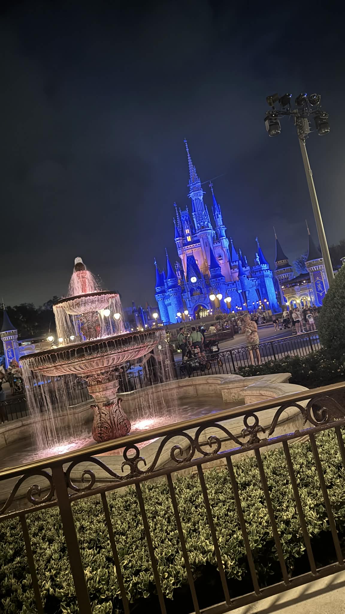 Cinderella Castle and the Plaza fountain at night